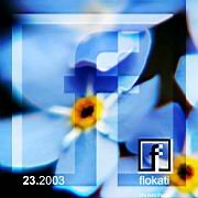 pl_204_flokati Kopie 5_blau below.JPG